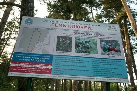 Заповедник 7