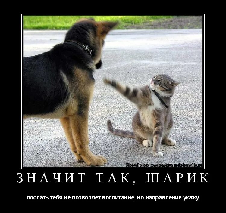 Очень красивые фотоэффекты на двоих для двоих. Ну хорошо давай. Мемы давай потрахаемся. Сумасшедшая белка. Прикольные картинки.