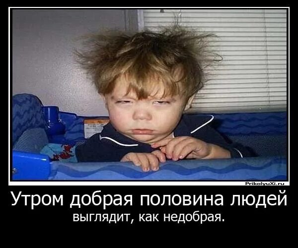 Злое утро. Не доброе утро. с добрым утром злые. недоброе утро прикол. я с утра прикол.