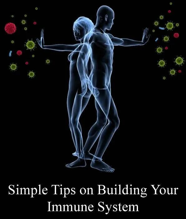 Artificial immune system