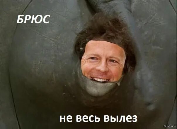 А ну вылезай. Леха я застрял в собаке. Вылазь мем. Саня помоги выбраться из собаки. Вылазь мем.
