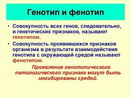 Случайное изменение генотипа это