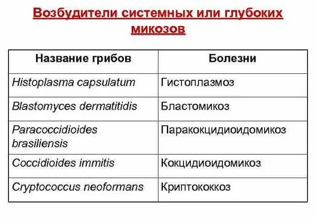 Возбудитель гриба