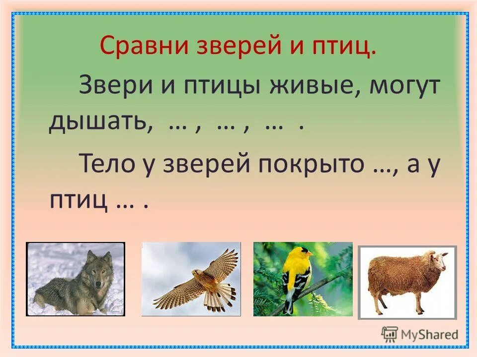 Царство птиц и зверей я сделаю тебя. Сравнение птиц и зверей. Отличие животных и птиц. Чем отличаются птицы от животных. Птицы это животные или нет.