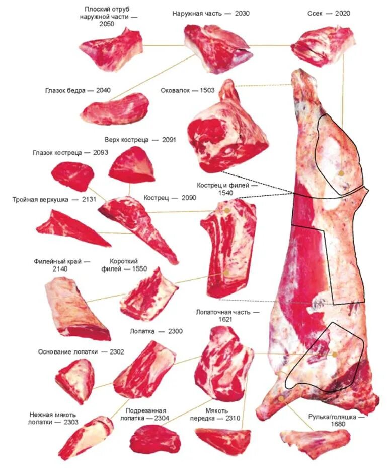 Лучшая часть мяса говядины. Схема разделки говядины на отрубы. Классическая схема разруба говяжьей туши. Говядина схема разруба говяжьей туши. Схема разделки задней части говядины.