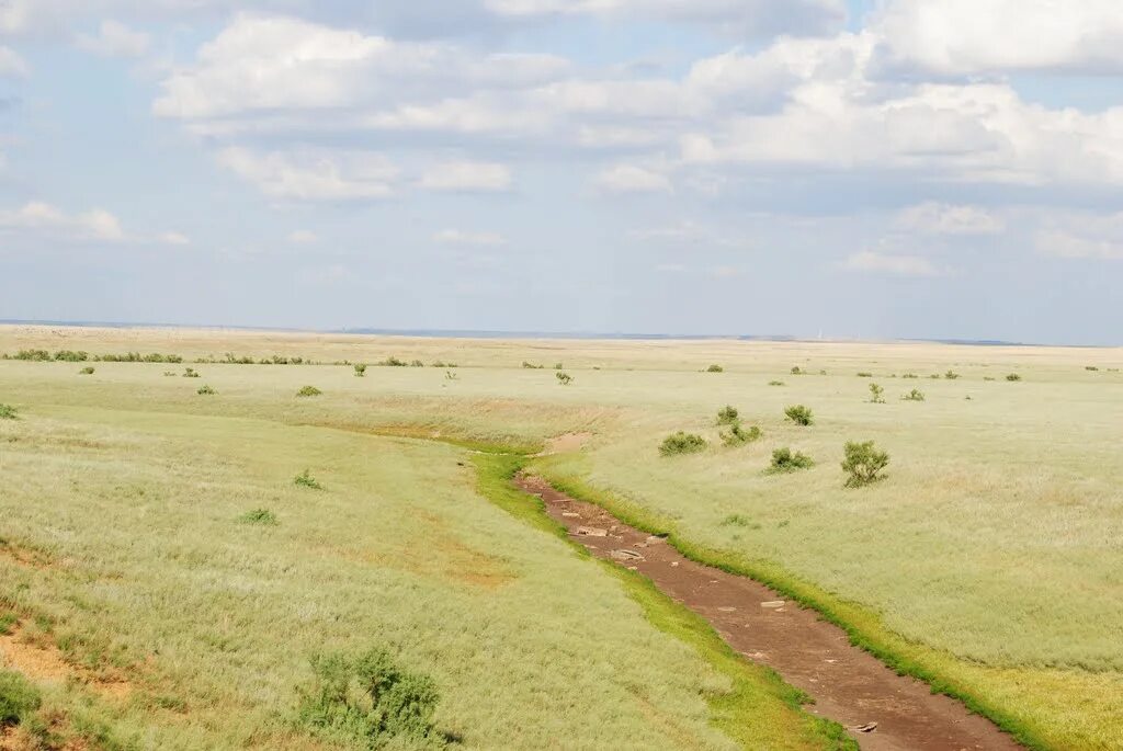 Погода чограйский арзгирский. Село Арзгир Ставропольский край. Арзгир степь. Приютное Ставропольский край. Природа Арзгира.