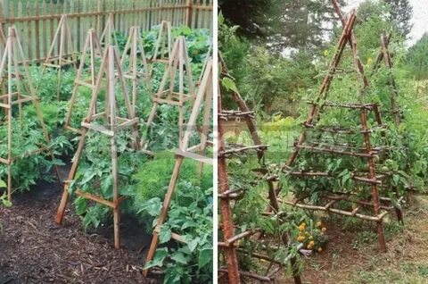 Plant supports