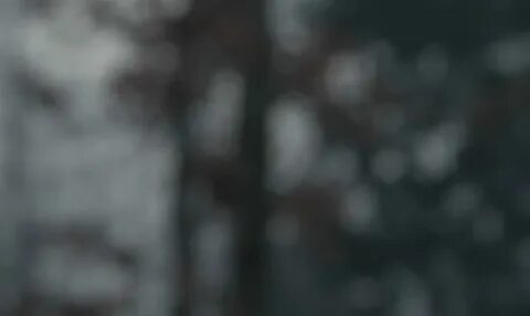Блюр в обс