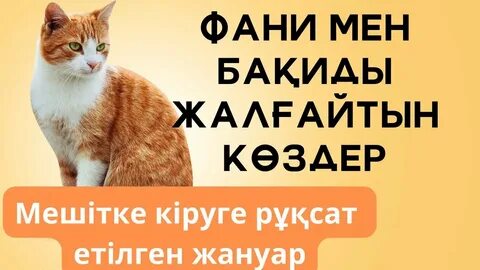 Еркек əйелін əр шұңқырда трахает