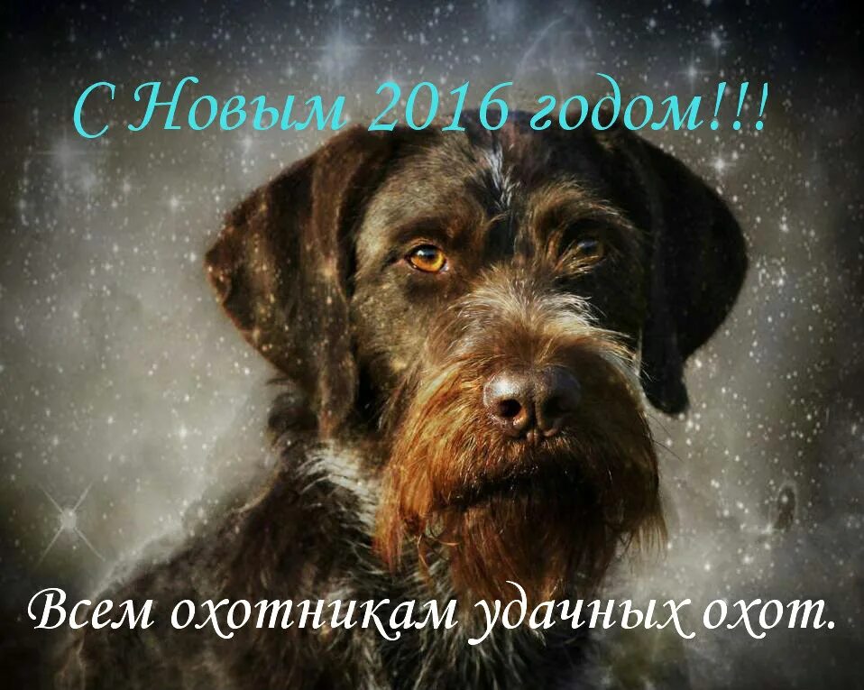 Удачного года 2023. Поздравление с новым годом охотнику. Поздравление охотников с новым годом. Поздравление с наступающим новым годом охотников. Открытка с новым годом охотнику.
