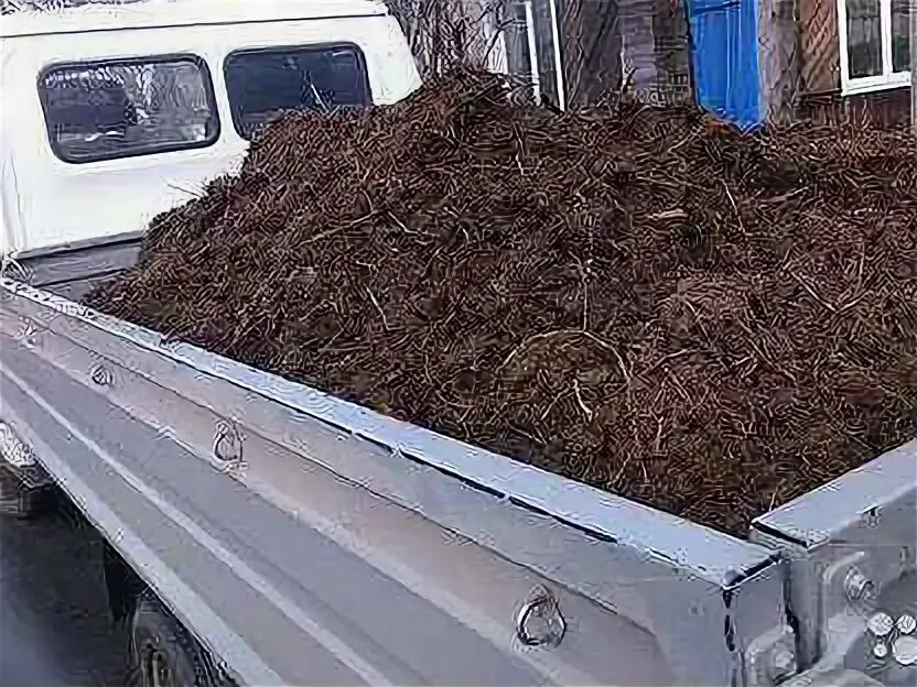 Навоз чернозем. Авто с навозом. Навоз перегной газель. Перегной крс. Навоз коровий газель.