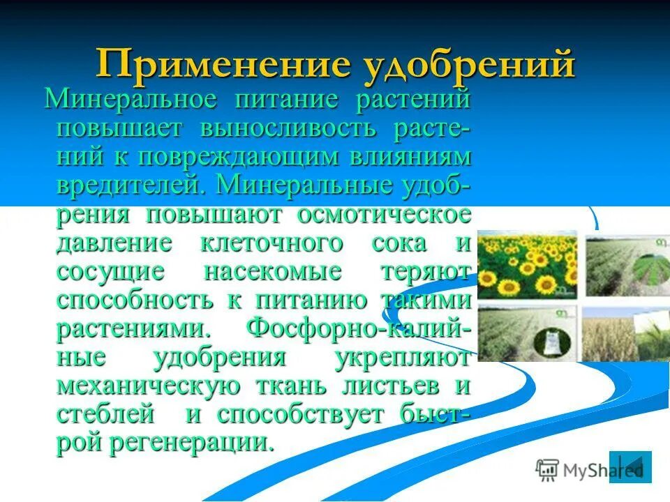 определение сосущей силы клеток. осмотическое давление в клетке растений. высокое осмотическое давление клеточного сока. осмотическое давление в растительной клетке. осмотическое давление в растительной клетке.