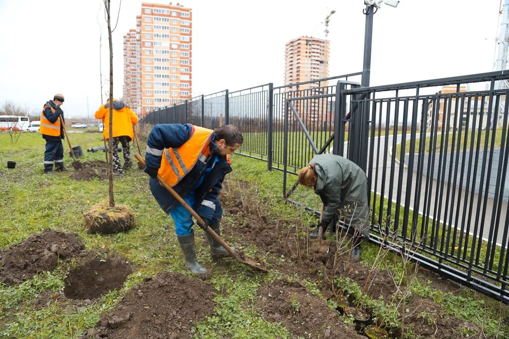 Администрация города тулы. Сайт счетной палаты города тулы. Фатеева наталья станиславовна тула. Отель алино. Дворник в туле.