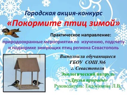Акция покормите птиц зимой 2024