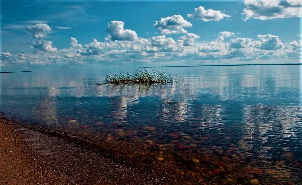 Кубенское озеро Вологодская область. Озеро Кубена Вологодской области. Пляжи Кубенского озера Вологда. Кубенское озеро озёра Вологодской области.