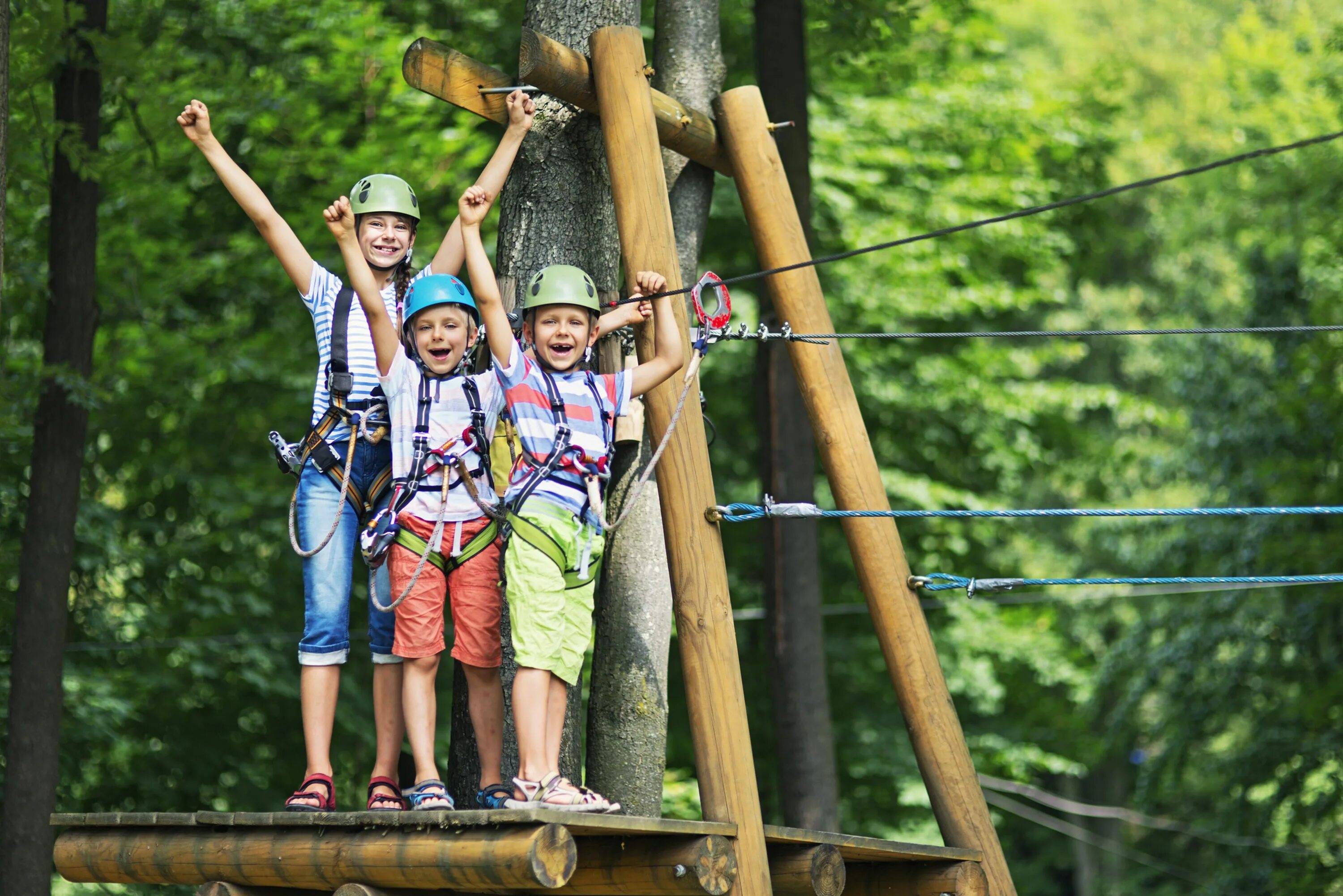 Дол парк. Лесной парк Camp Adventure Park. Дети в лагере. Детские площадки для лагеря. Приключенческий лагерь.