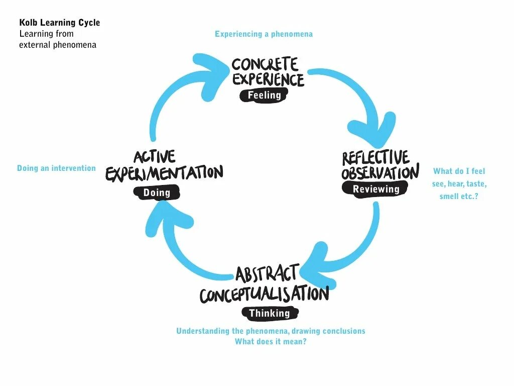 Learn learnt learned неправильный. Learning Cycle. Kolb Cycle. Experiential Learning Cycle. Диски с данными the Cycle.