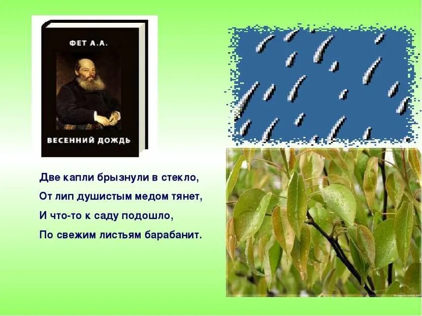 Две капли брызнули в стекло от лип душистым мёдом тянет. Сочинение на тему весенний дождь. Две капли брызнули в стекло от лип душистым. Две капли брызнули в стекло. И что то к саду подошло по свежим листьям барабанит.