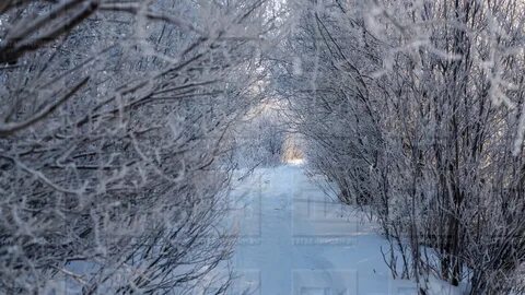 Погода в ноябре в татарстане