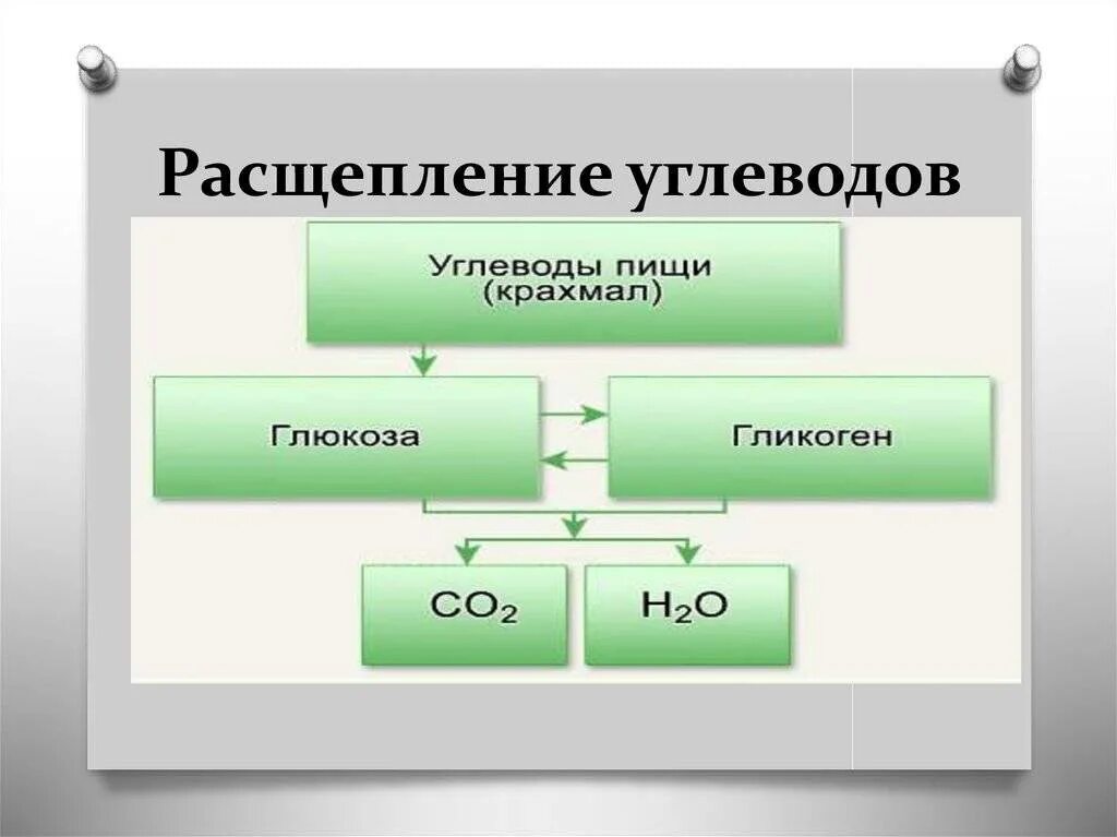 Распад сложных. Схема расщепления углеводов. Схема процесса расщепления углеводов. Схема расщепления углеводов в организме человека. Расщепление сложных углеводов.