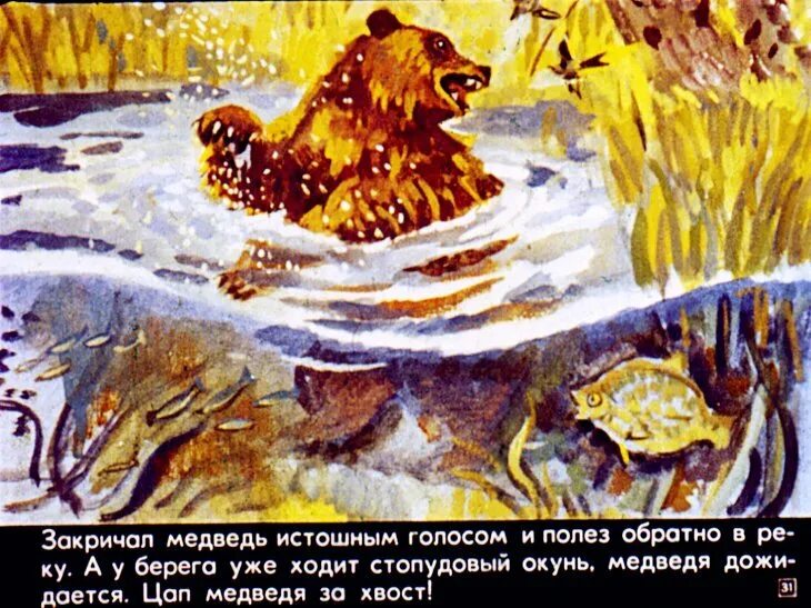 Читать дремучий медведь. Дремучий медведь паустовский. сказка паустовского дремучий медведь. дремучий медведь - рассказ константина паустовского. иллюстрация к сказке дремучий медведь паустовского.