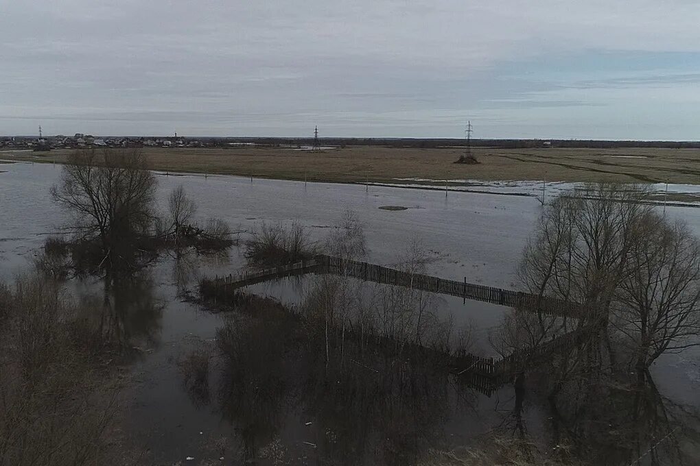 Река ока подъем уровня воды. Разлив реки Оки в Рязанской области. Половодье в Борках Рязань. Спасск Рязанский половодье. Разлив Оки в Рязани 2023.