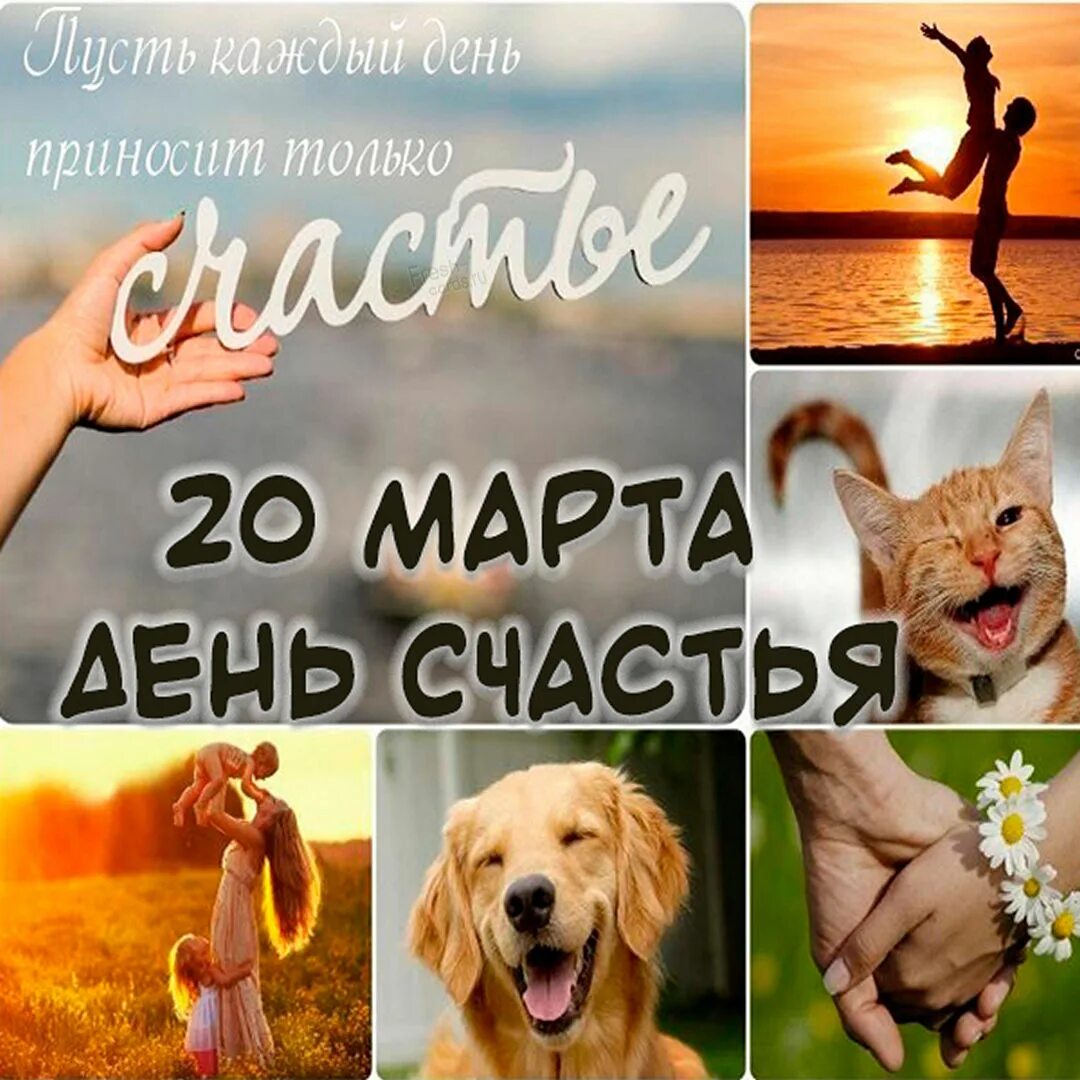 День счастья. День счастья 20 марта. С днем счастья. День счастливого человека. День счастья 2022.