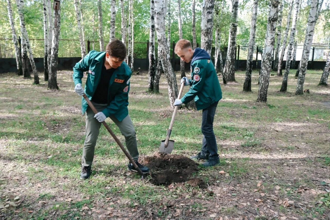 Три студенческих отряда посадили 2800 деревьев. Три студенческих отряда посадили 2800 деревьев