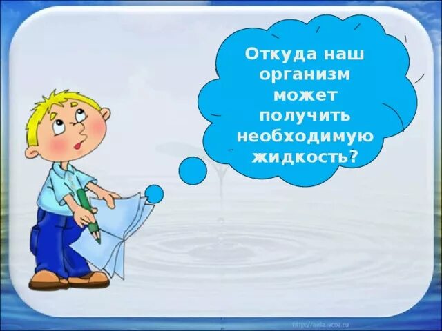 Важность воды начальная школа. Откуда наш организм получает необходимую жидкость. Что означает спрятать концы в воду