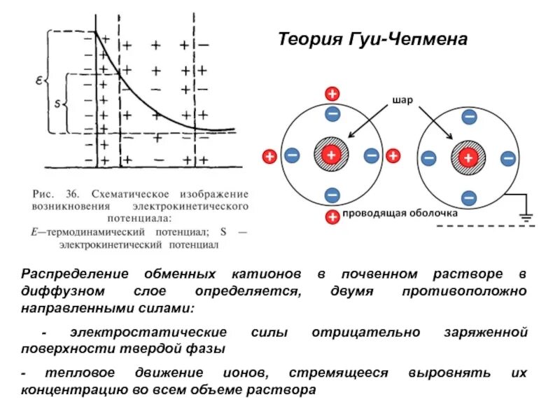 Термодинамический и электрокинетический потенциалы. Цикл Чепмена. Поглотительная способность почвы. Цикла Чепмена разрушение озона.