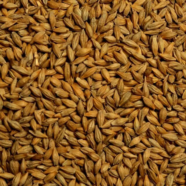 2 зерна. 4 зерна. Пшеница 3 класс. Цельные зерна. Цельные злаки.