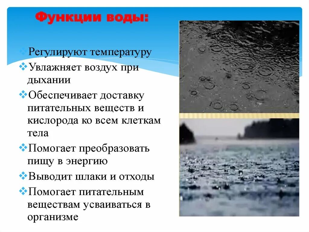 Экологическая роль воды. Экологические функции воды. Функции воды в природе. Функции воды в жизни человека.