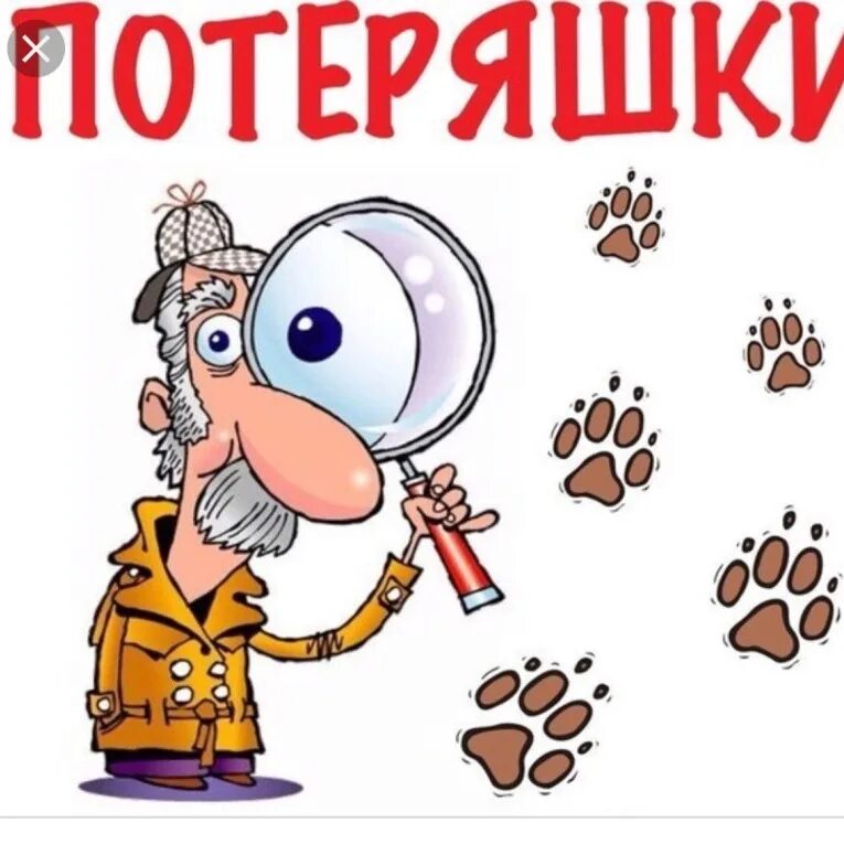Потеряшка - забытые вещи. Вещ. Ящик забытых вещей. Найденные вещи. Забытые вещи надпись.