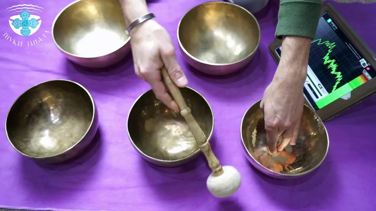 Как выбрать поющую чашу
