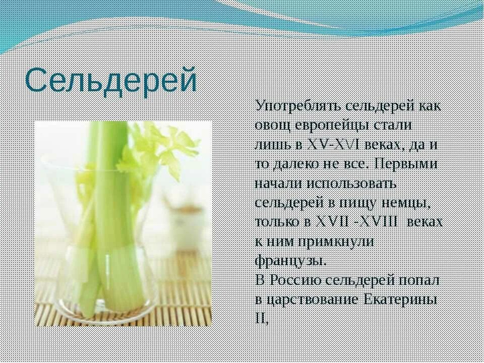 Сельдерей стебель польза и вред для здоровья. Стебель сельдерея польза. чем полезен сельдерей стебли. стебель черешкового сельдерея. сельдерей корень и стебель.