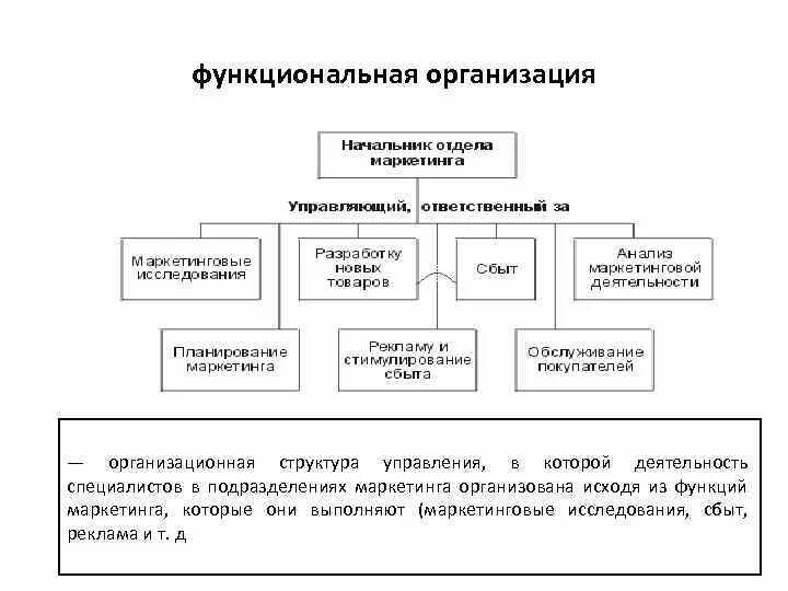 Отделу сбыта и маркетинга. Функциональная организационная структура маркетинга. Функциональная организационная структура управления маркетингом. Отдел маркетинга структура должности схема. Орг структура в отделе маркетинга.