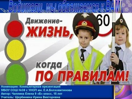 Правила движения правила жизни