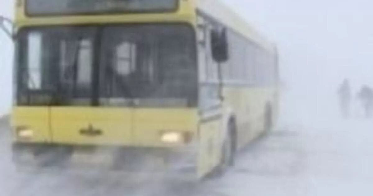Автобусы afd. Новые автобусы в барнауле. Паз 3204 старый. Автобус дождь. Харьков автобус.