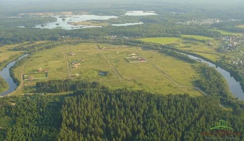 Стрижи кировская область