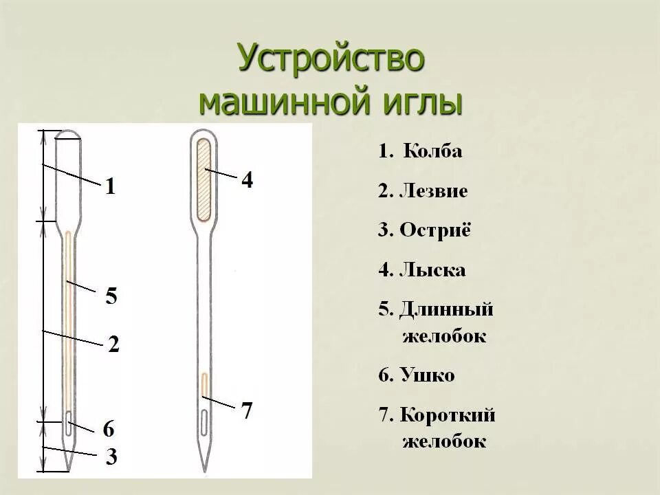 Строение швейной иглы. Схема машинной иглы швейной машины. Устройство иглы швейной машины 5 класс. Устройство машинной швейной иглы.