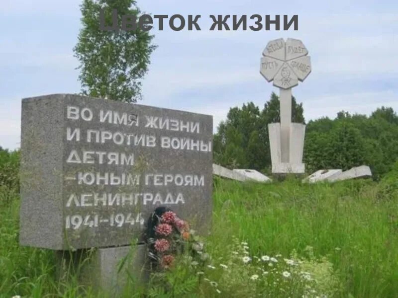 Триединство сакральная геометрия. Где находится цветок жизни. Меркаба друнвало мельхиседек. Мандала цветок жизни. Цветок жизни памятник детям погибшим в блокадном ленинграде.