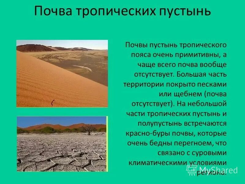 Условия тропических пустынь