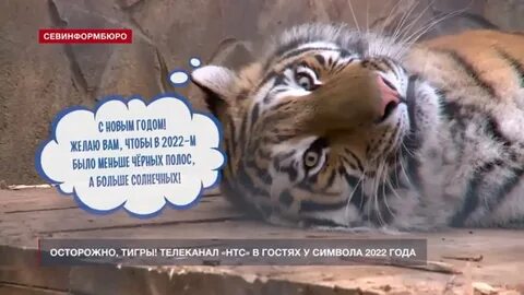 Предстоящий 2022 год