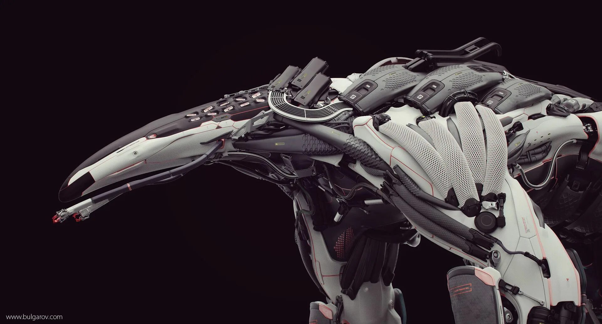 Surface render