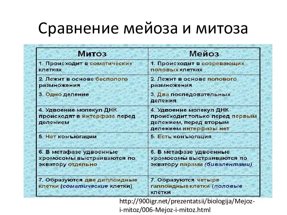 Укажите основные отличия мейоза от митоза 9. Сходства и различия митоза и мейоза в таблице 9 класс. Митоз и мейоз сравнение и различие. Отличие митоза от мейоза таблица 9 класс. Сравнение митоза и мейоза сходства и различия.