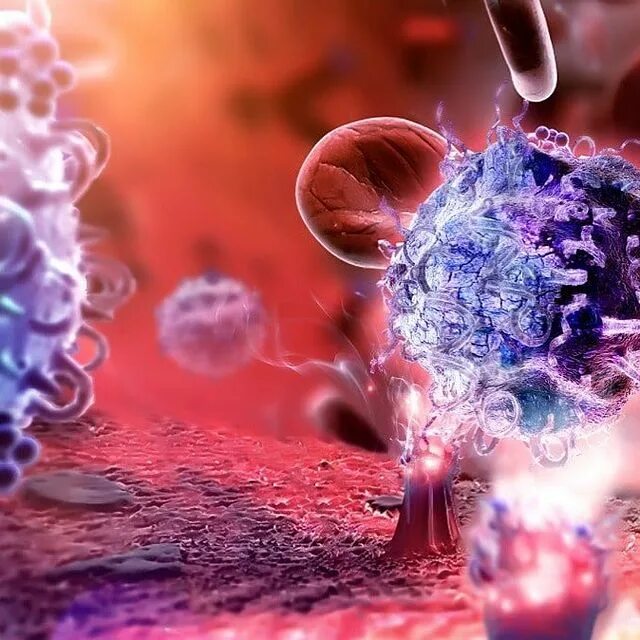 Т8 лимфоциты уничтожают т4 лимфоциты. Вирус коронавирус клетка. Менингит бактерия возбудитель. Продукты жизнедеятельности бактерий. Вирус гепатита в.