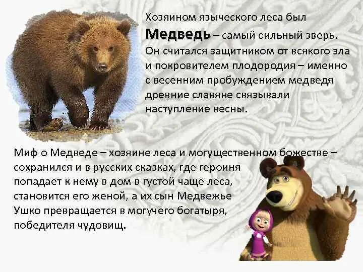 Презентация день медведя 13 декабря. Хозяином языческого леса был медведь. легенда о медведе. день медведя презентация. 13 декабря день медведя презентация для детей.