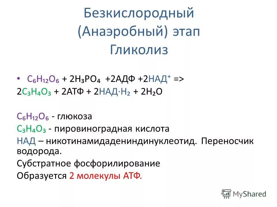 Субстратное фосфорилирование атф