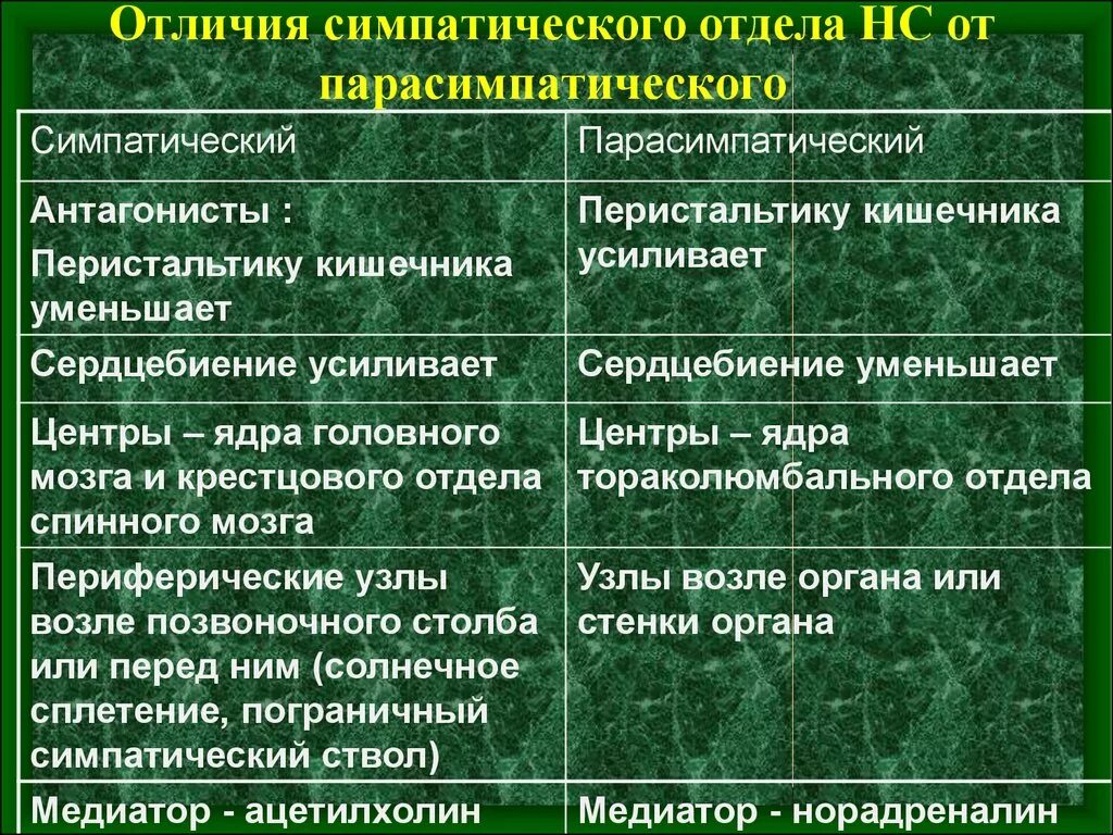 Действия симпатического и парасимпатического отделов. Симпатический и парасимпатический отделы функции. Симпатическая и парасимпатическая нервная система отличия. Отличие симпатической от парасимпатической. Симпатический и парасимпатический отделы различия.