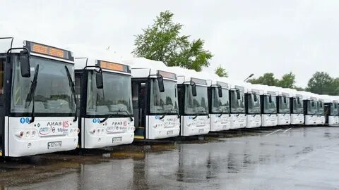 Новые автобусы вологда 2024